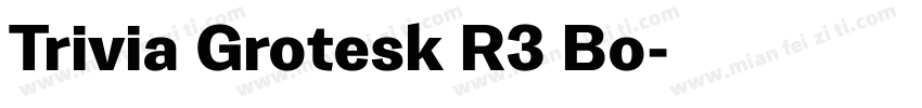 Trivia Grotesk R3 Bo字体转换